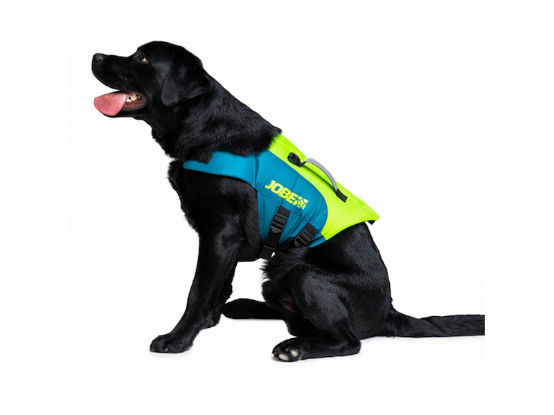 GIUBBOTTO PER ANIMALI